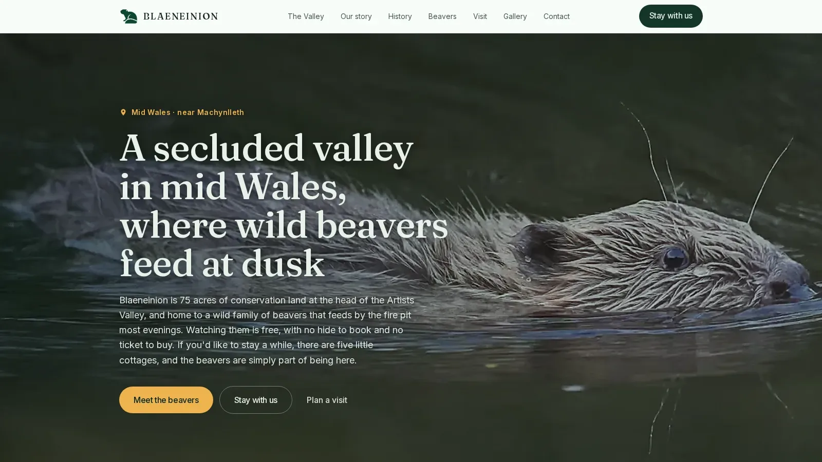 Blaeneinion website opening, with a beaver swimming through the valley’s water.